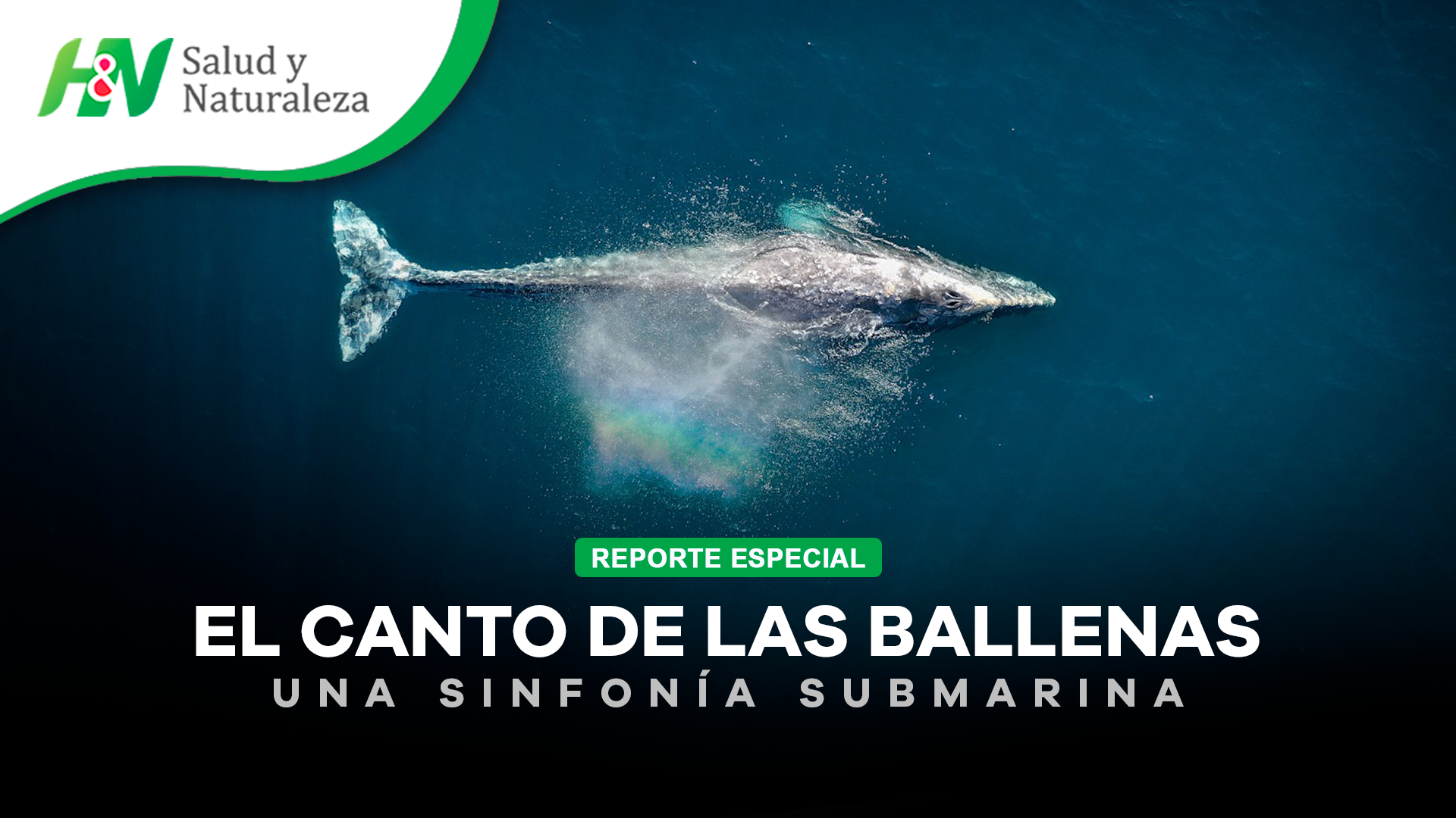 reportajes