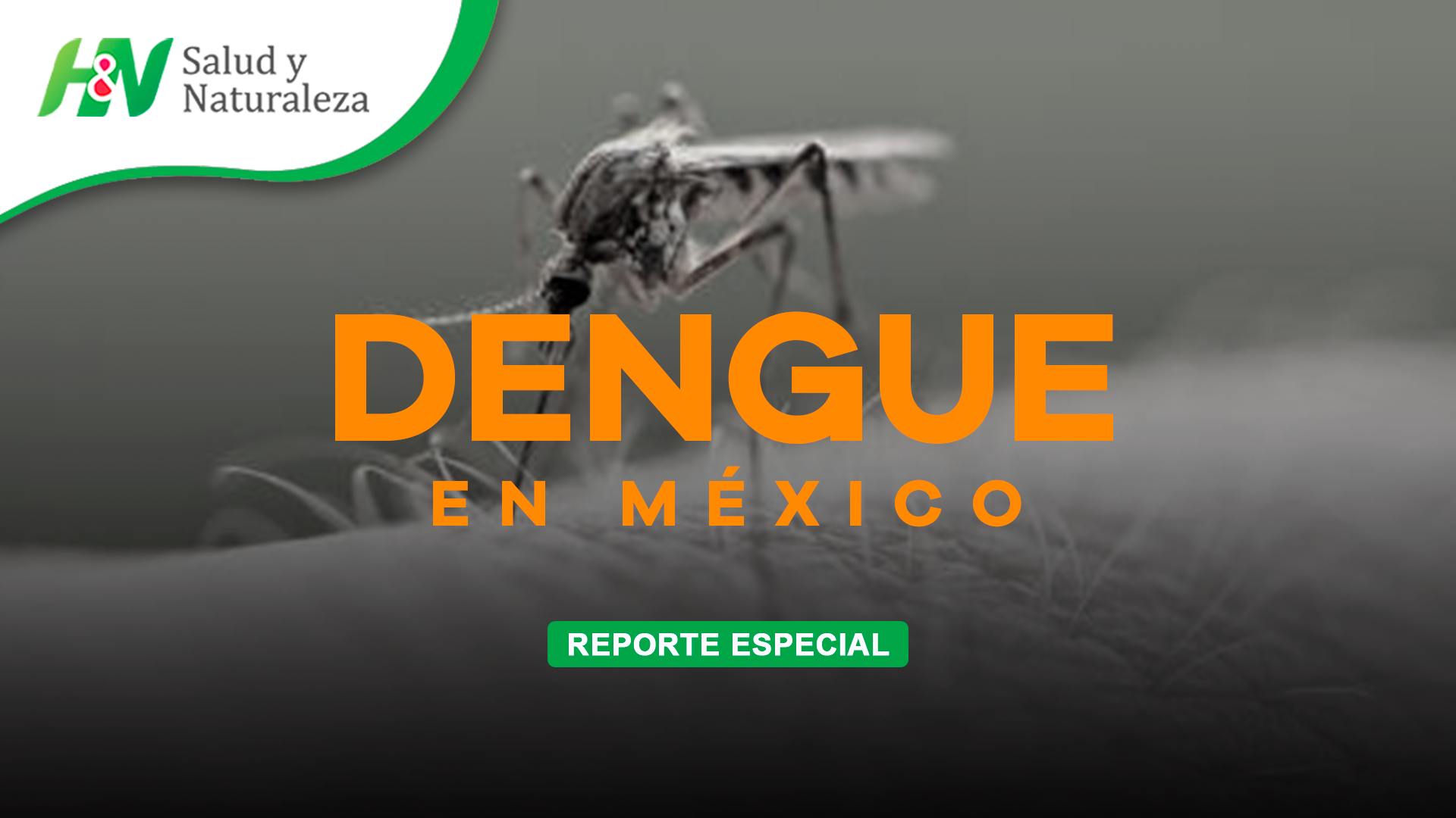 reportajes